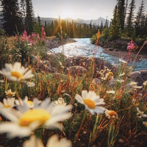 Meet your Posher, Liz - Picture 5 of 13